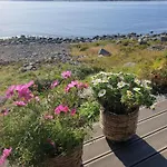 Coastal With Ocean View On Lepsoya