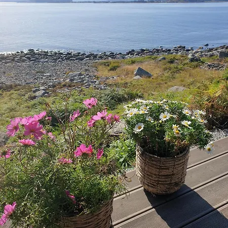 Feriehus Coastal With Ocean View On Lepsoya *