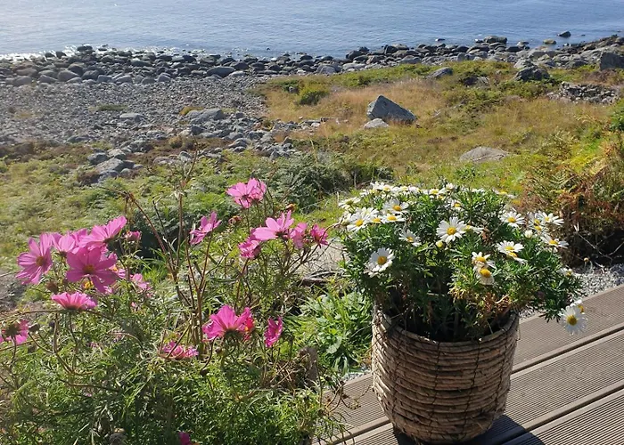 Coastal With Ocean View On Lepsoya